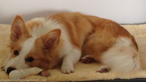 20140101-photo 1-b